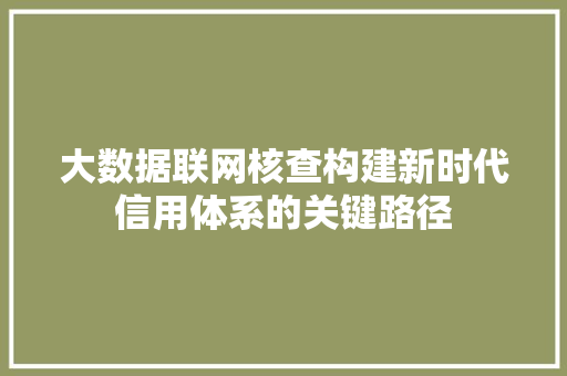 大数据联网核查构建新时代信用体系的关键路径