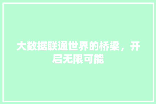 大数据联通世界的桥梁，开启无限可能