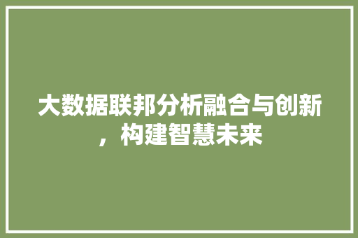 大数据联邦分析融合与创新，构建智慧未来  第1张
