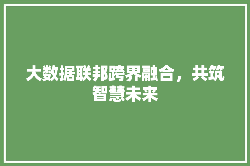 大数据联邦跨界融合，共筑智慧未来  第1张