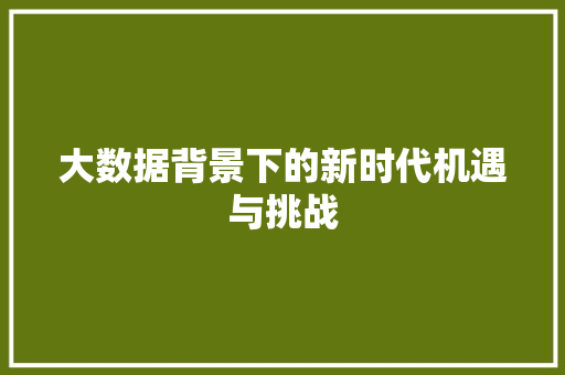 大数据背景下的新时代机遇与挑战  第1张