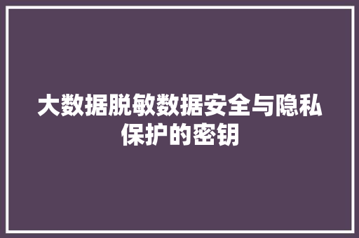 大数据脱敏数据安全与隐私保护的密钥