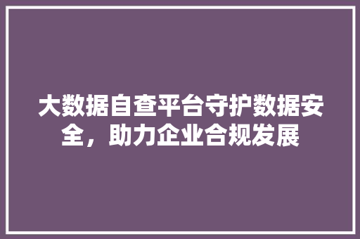 大数据自查平台守护数据安全，助力企业合规发展  第1张
