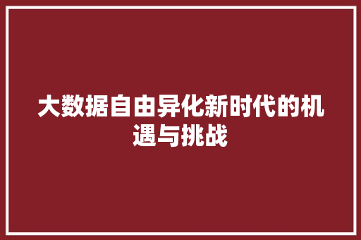 大数据自由异化新时代的机遇与挑战  第1张