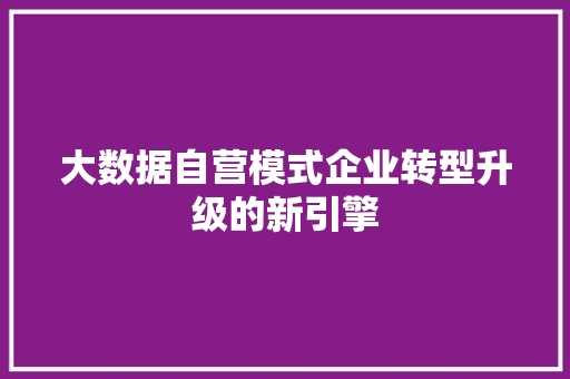 大数据自营模式企业转型升级的新引擎  第1张