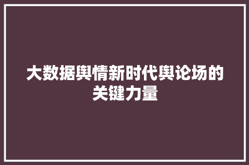 大数据舆情新时代舆论场的关键力量  第1张