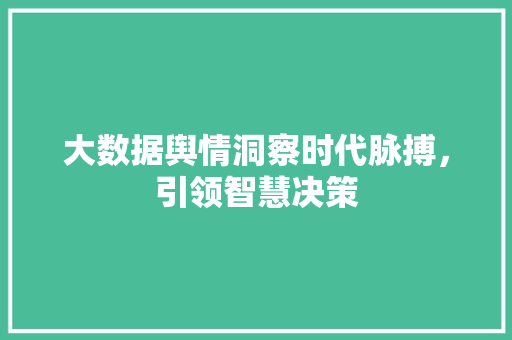 大数据舆情洞察时代脉搏，引领智慧决策  第1张