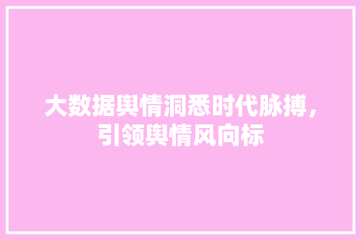 大数据舆情洞悉时代脉搏，引领舆情风向标  第1张