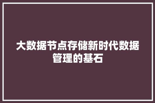 大数据节点存储新时代数据管理的基石