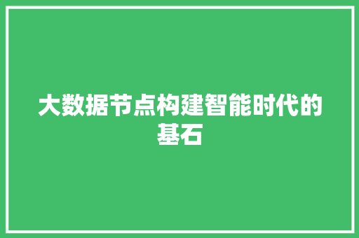 大数据节点构建智能时代的基石
