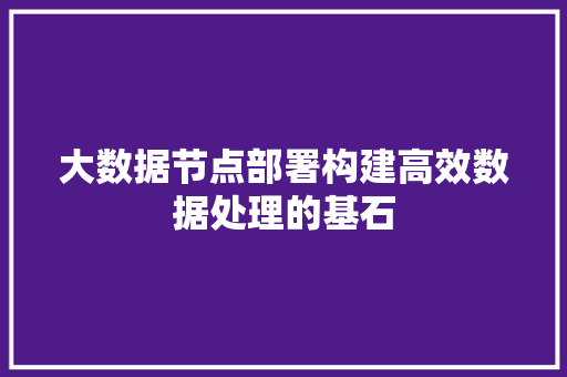 大数据节点部署构建高效数据处理的基石