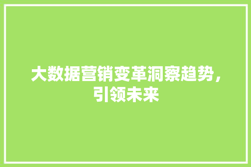 大数据营销变革洞察趋势，引领未来