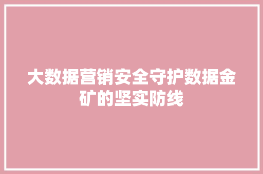 大数据营销安全守护数据金矿的坚实防线