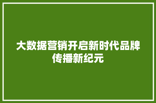 大数据营销开启新时代品牌传播新纪元