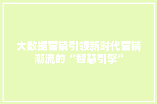 大数据营销引领新时代营销潮流的“智慧引擎”