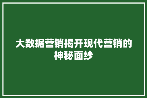大数据营销揭开现代营销的神秘面纱
