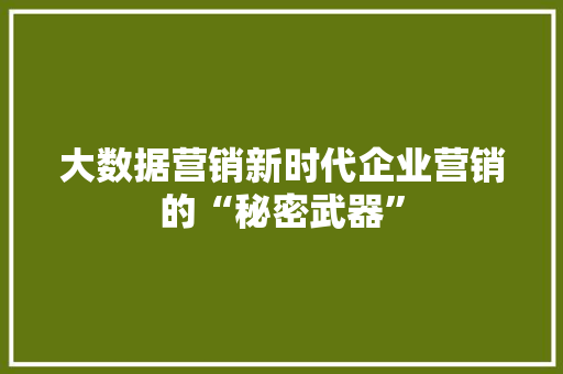 大数据营销新时代企业营销的“秘密武器”  第1张