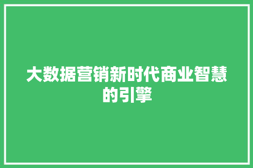 大数据营销新时代商业智慧的引擎