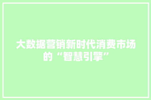 大数据营销新时代消费市场的“智慧引擎”