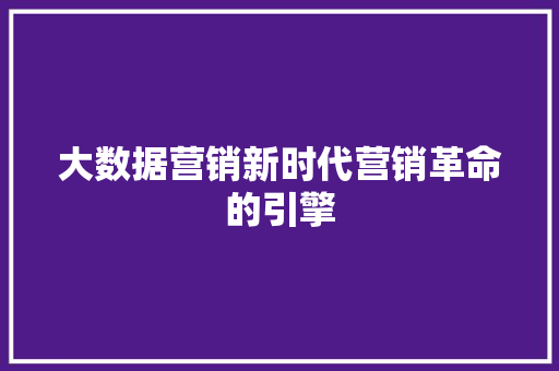 大数据营销新时代营销革命的引擎