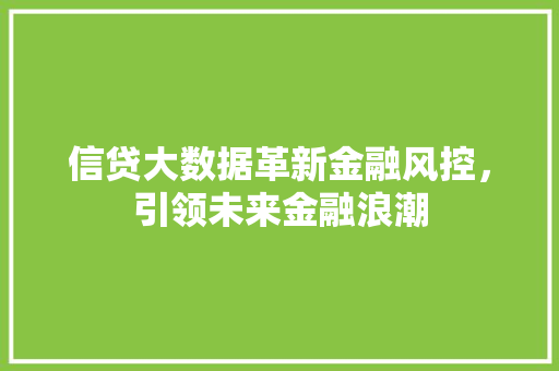信贷大数据革新金融风控，引领未来金融浪潮  第1张