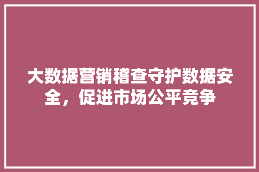 大数据营销稽查守护数据安全，促进市场公平竞争