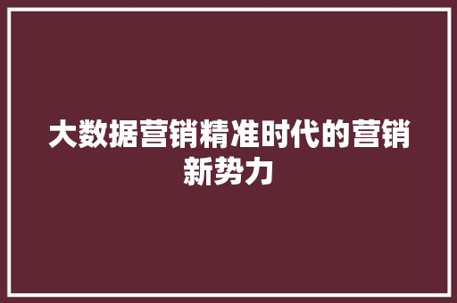 大数据营销精准时代的营销新势力