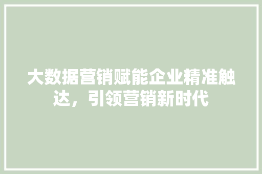 大数据营销赋能企业精准触达，引领营销新时代  第1张