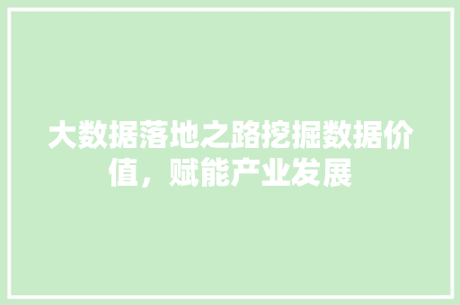 大数据落地之路挖掘数据价值，赋能产业发展