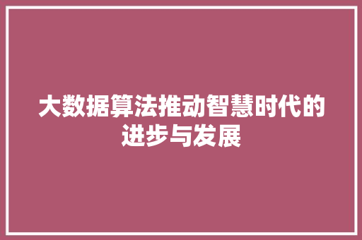 大数据算法推动智慧时代的进步与发展
