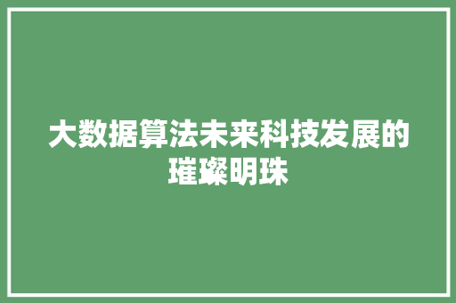 大数据算法未来科技发展的璀璨明珠
