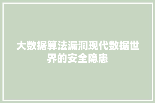 大数据算法漏洞现代数据世界的安全隐患
