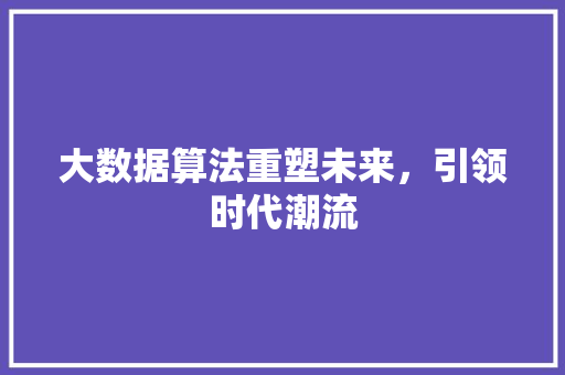 大数据算法重塑未来，引领时代潮流  第1张