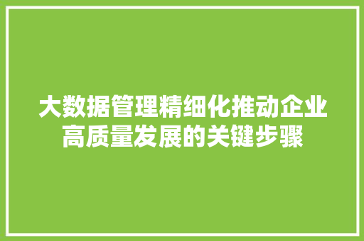 大数据管理精细化推动企业高质量发展的关键步骤