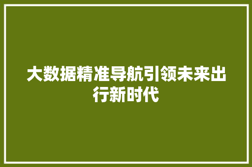 大数据精准导航引领未来出行新时代