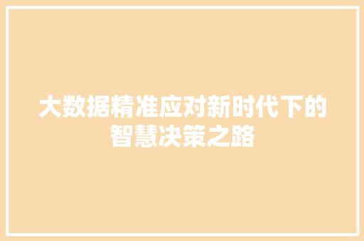 大数据精准应对新时代下的智慧决策之路