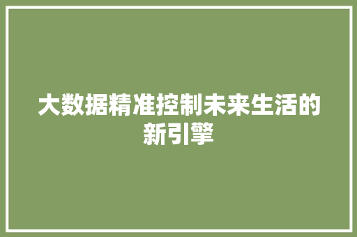 大数据精准控制未来生活的新引擎
