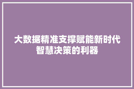 大数据精准支撑赋能新时代智慧决策的利器