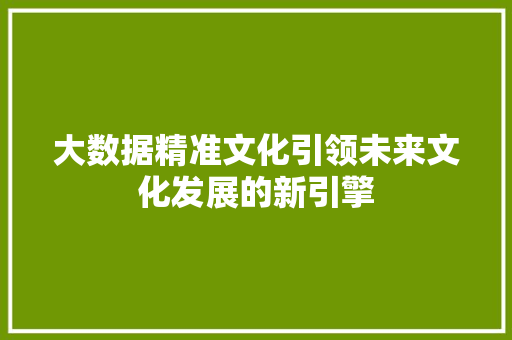 大数据精准文化引领未来文化发展的新引擎  第1张