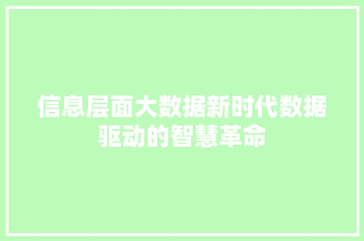 信息层面大数据新时代数据驱动的智慧革命