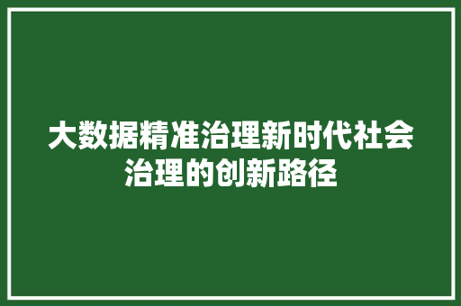 大数据精准治理新时代社会治理的创新路径  第1张
