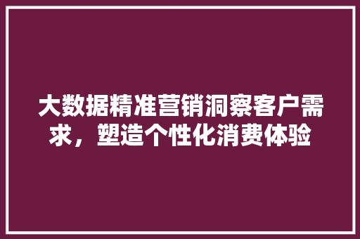 大数据精准营销洞察客户需求，塑造个性化消费体验  第1张