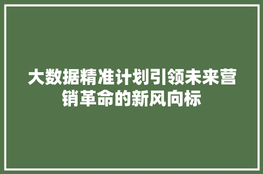 大数据精准计划引领未来营销革命的新风向标  第1张