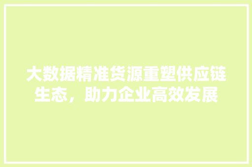 大数据精准货源重塑供应链生态，助力企业高效发展  第1张