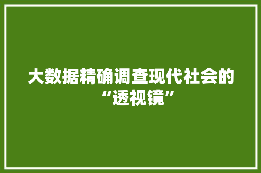 大数据精确调查现代社会的“透视镜”