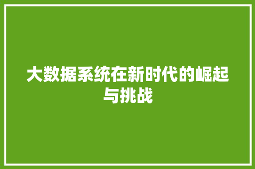 大数据系统在新时代的崛起与挑战  第1张