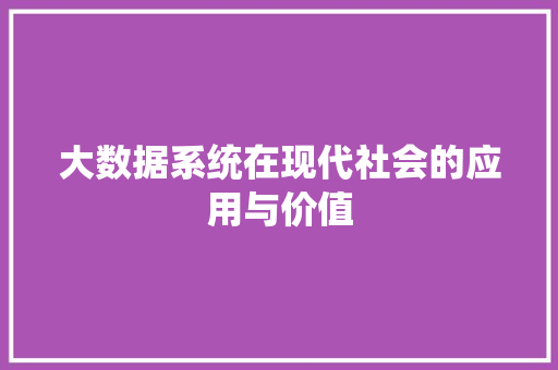 大数据系统在现代社会的应用与价值