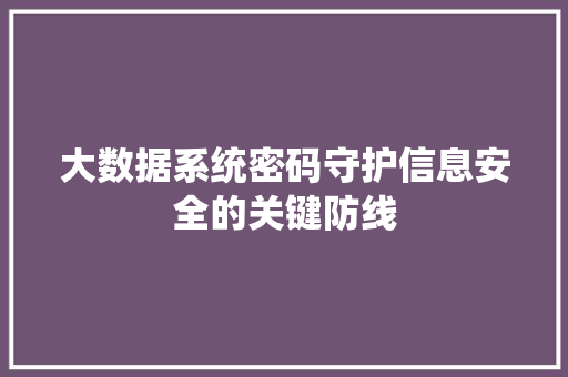 大数据系统密码守护信息安全的关键防线