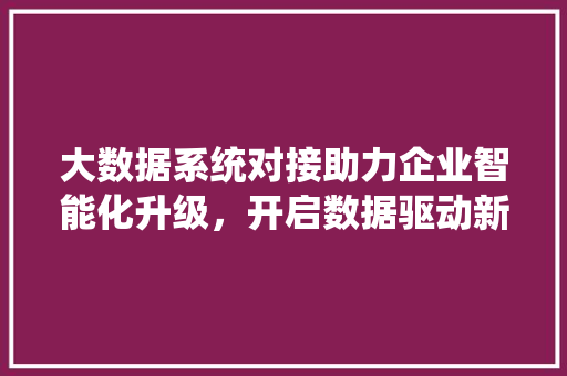大数据系统对接助力企业智能化升级，开启数据驱动新时代