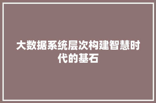 大数据系统层次构建智慧时代的基石